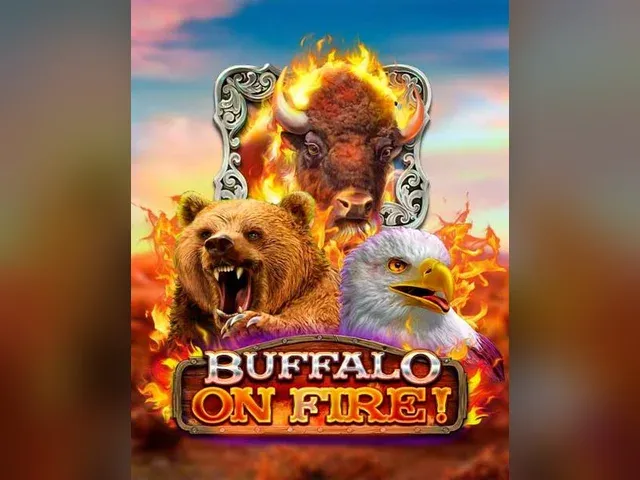 Buffalo on fire!